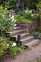 /album/zahradysvobodova/klus3-jpg1/